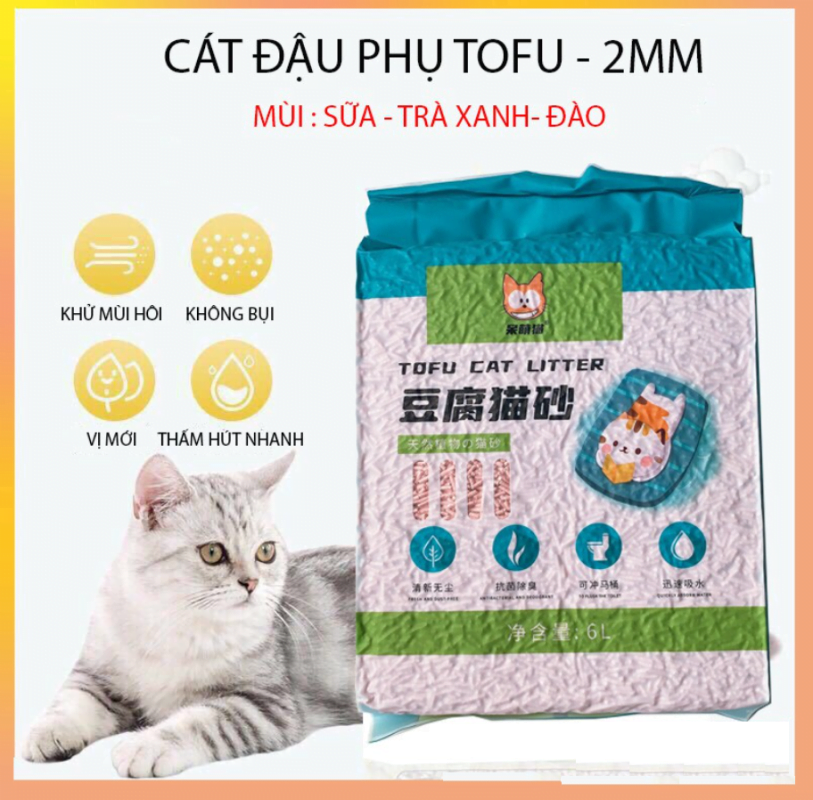 cát mèo tofu
