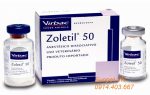 Thuốc gây mê Zoletil 50