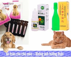 ảnh đại diện - danh mục sản phẩm