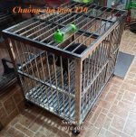chuồng chó inox t10