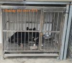 chuồng chó inox t10