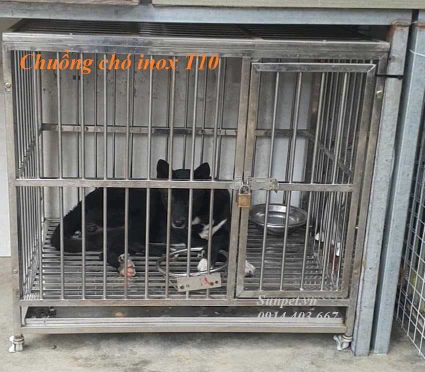 Chuồng chó inox T10 6 chuồng chó inox t10