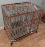 chuồng chó inox t10