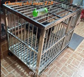 chuồng chó inox - ảnh đại diện