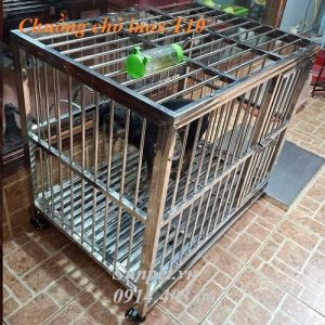 chuồng chó inox - ảnh đại diện