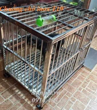 chuồng chó inox - ảnh đại diện
