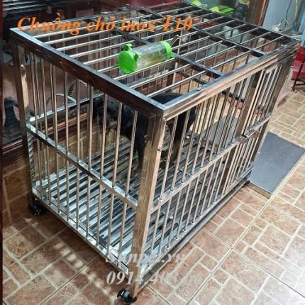 chuồng chó inox - ảnh đại diện