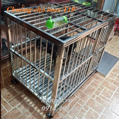 chuồng chó inox - ảnh đại diện