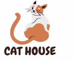 cat 2 250 200
