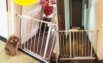 chắn cửa chó mèo umoo 516, chặn cửa thú cưng