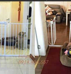 chắn cửa chó mèo umoo 516, chặn cửa thú cưng