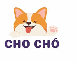 cho cho logo 250 200 1
