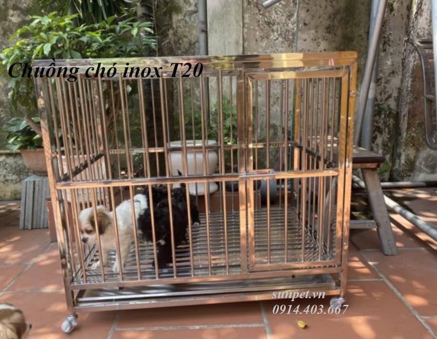 Chuồng chó inox T20 1 chuồng chó inox T20