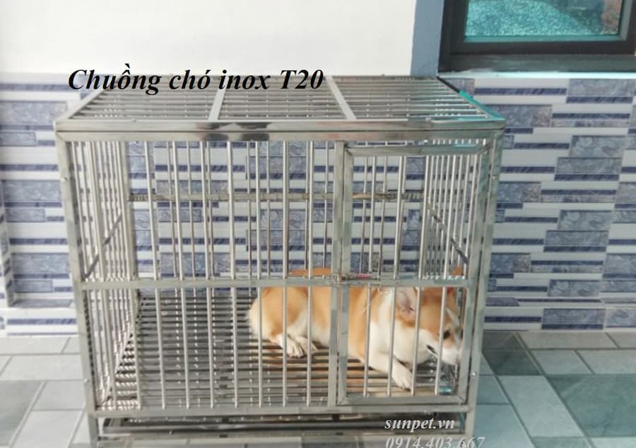 Chuồng chó inox T20 4 chuồng chó inox T20