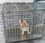 chuồng chó inox T20
