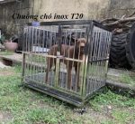 chuồng chó inox T20