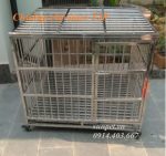 chuồng chó inox T30 có khay hứng chất thải