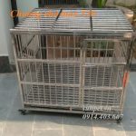 chuồng chó inox T30 có khay hứng chất thải