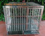chuồng chó inox T30 có khay hứng chất thải