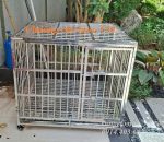 chuồng chó inox T30 có khay hứng chất thải