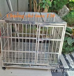 chuồng chó inox T30 có khay hứng chất thải