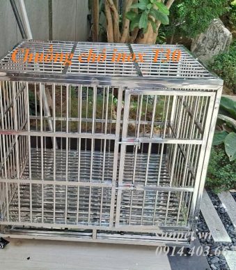 chuồng chó inox T30 có khay hứng chất thải