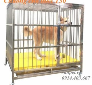 chuồng chó inox T30 có khay hứng chất thải