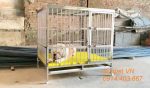 Chuồng chó inox T40