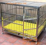 Chuồng chó inox T40