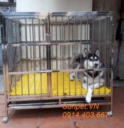 Chuồng chó inox T40