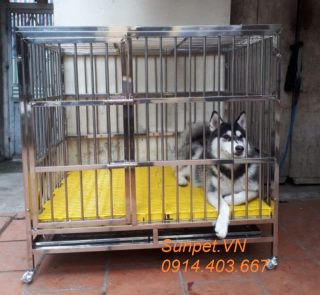 Chuồng chó inox T40