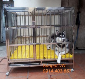 Chuồng chó inox T40