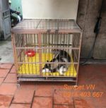 Chuồng chó inox T40