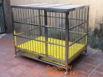Chuồng chó inox T40