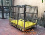 Chuồng chó inox T40