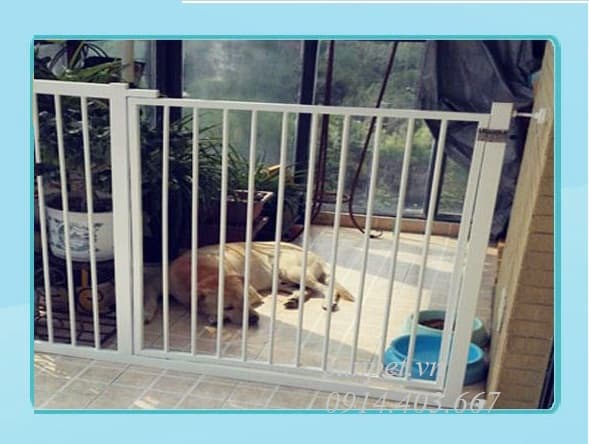 cửa chặn chó mèo Sg416