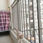 lưới chắn mèo ban công sợi cáp inox