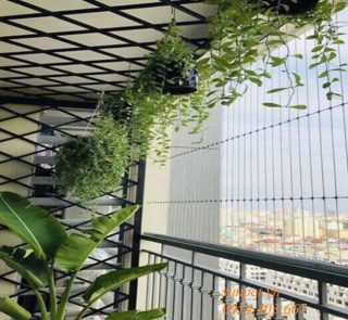 lưới chắn mèo ban công sợi cáp inox